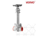 Extension Stem High Pressure Cryogenic Gate Valve Forged Stainless Steel Gate Valve F316 3/4 Inch DN20 800LB Socket Weld